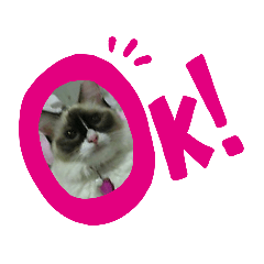 [LINEスタンプ] 美猫のYOUチャンと美熊猫海 ②