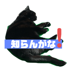 [LINEスタンプ] ゴエ二郎3