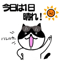 [LINEスタンプ] 天気予報ねこ☀︎みねこ, vol.1