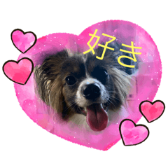 [LINEスタンプ] パピヨンローズのスタンプ