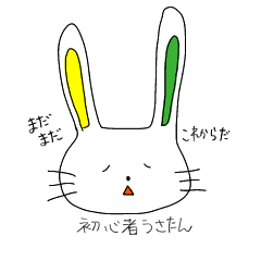 [LINEスタンプ] 初心者うさたん