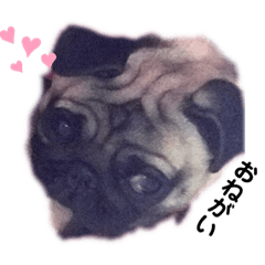 [LINEスタンプ] MoNe♡♡