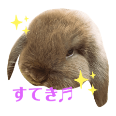 [LINEスタンプ] もふもふ、うさうさ。