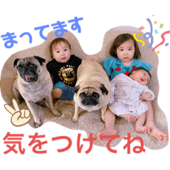 [LINEスタンプ] ウチの子スタンプ8723