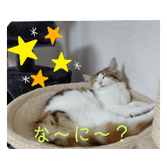 [LINEスタンプ] 平和なりんりん3