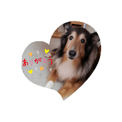 [LINEスタンプ] ぽっちゃんとゆきとふうた
