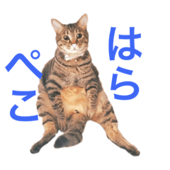 [LINEスタンプ] ねこししょう2