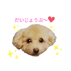 [LINEスタンプ] ももたろうくんスタンプ