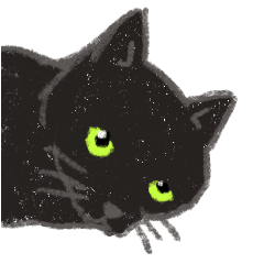 [LINEスタンプ] 黒猫のクーさんの画像（メイン）
