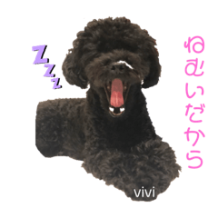 [LINEスタンプ] 黒プーviviたん