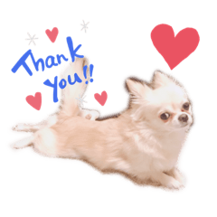 [LINEスタンプ] うちの茶々丸くん