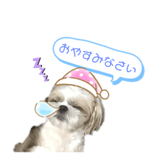 [LINEスタンプ] タロと愉快な仲間たち