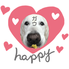 [LINEスタンプ] 英ゴル♡ガウくん♡