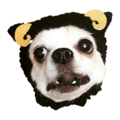 [LINEスタンプ] るぅふぁみスタンプ