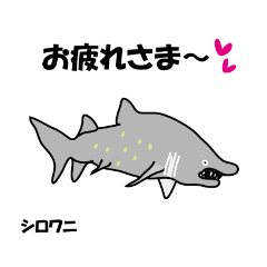 [LINEスタンプ] 小笠原のさかな達2