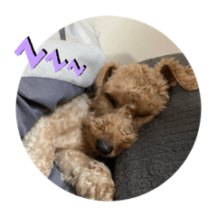 [LINEスタンプ] あーたむのスタンプ