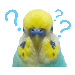 [LINEスタンプ] セキセイインコ テバ
