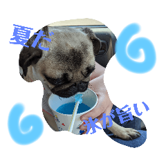 [LINEスタンプ] ぶー＆あびー