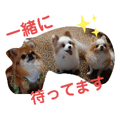 [LINEスタンプ] 武居familiar7