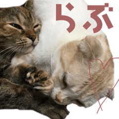 [LINEスタンプ] メルとデヴィ