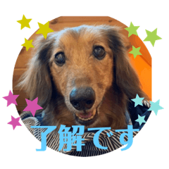 [LINEスタンプ] ☆そらくんスタンプ☆
