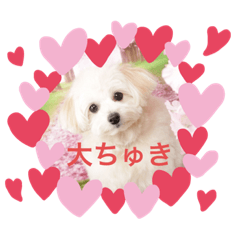 [LINEスタンプ] あんこ姫