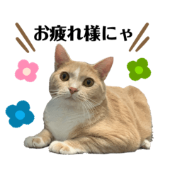 [LINEスタンプ] そらちゃん専用スタンプ♪