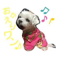 [LINEスタンプ] ワンの気持ち♪ 4