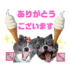 [LINEスタンプ] 秋田犬 カッツと茶羽と三恵5