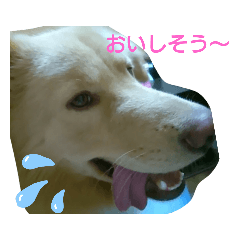 [LINEスタンプ] うちのポテちゃん2