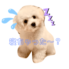[LINEスタンプ] わんちゃんズ❤️4