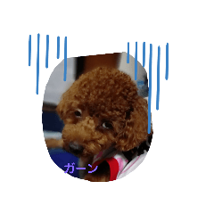 [LINEスタンプ] レオンandこた