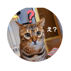 [LINEスタンプ] セロリ＆ライムのスタンプ