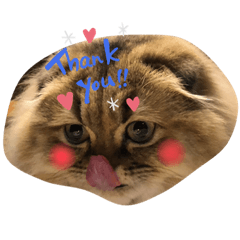[LINEスタンプ] kumiko_20200723142522