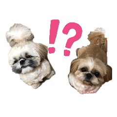 [LINEスタンプ] もさおーず