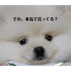 [LINEスタンプ] ♡ねりけしくん♡