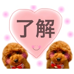 [LINEスタンプ] わんぱくさんめいちゃん