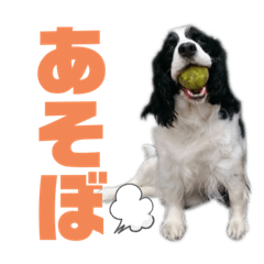 [LINEスタンプ] 愉快な家族です2
