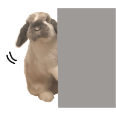[LINEスタンプ] たれみみらむちゃん