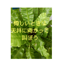 [LINEスタンプ] 大好きな家族に送る言葉 その5