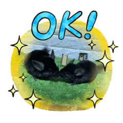 [LINEスタンプ] チンチラすたんぷ.mml