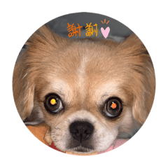 [LINEスタンプ] こんぶの無邪気スタンプ