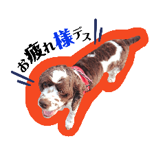 [LINEスタンプ] あんこちゃんの日常2
