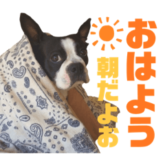 [LINEスタンプ] トトちゃんの日常