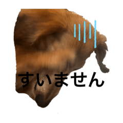 [LINEスタンプ] それいけ！さんでぃ