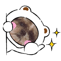 [LINEスタンプ] チョコの日常3