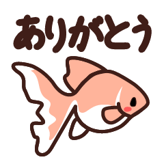 [LINEスタンプ] 金魚と文字