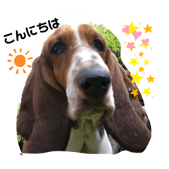 [LINEスタンプ] びぃよんちゃん