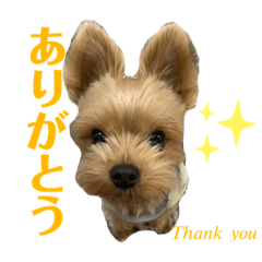 [LINEスタンプ] そちゃんのこびちゃん^ - ^