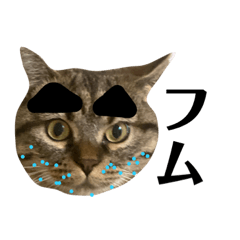 [LINEスタンプ] 青ひげのくー太郎